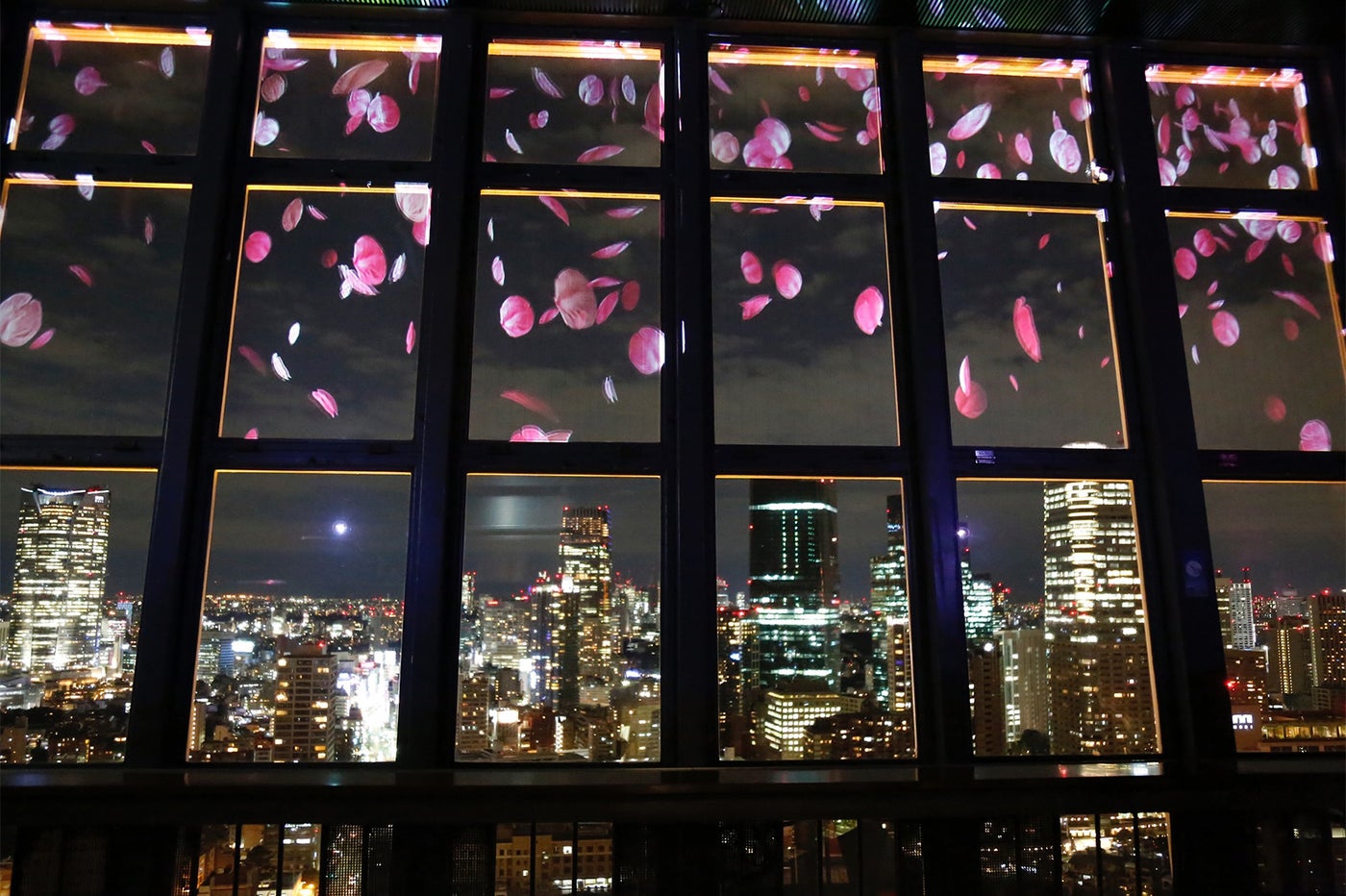 「TOKYO TOWER CITY LIGHT FANTASIA」夜桜バージョン／画像提供：東京タワー