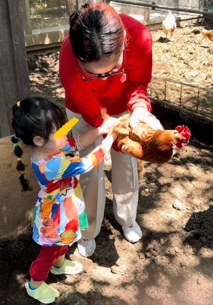 平野ノラ オフィシャルブログより