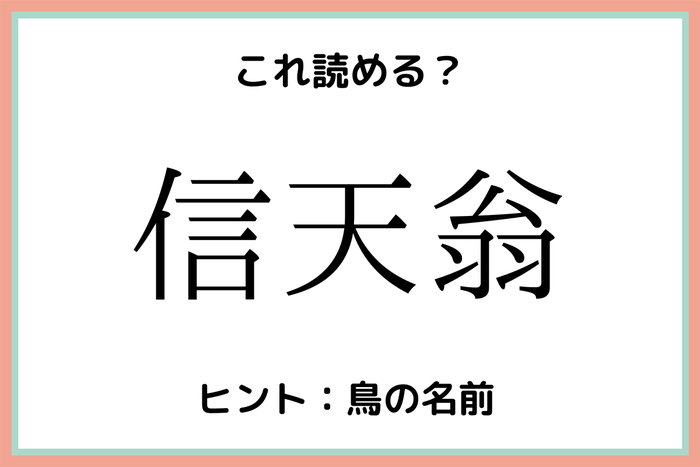 信天翁 っていったい何 意外過ぎる 難読漢字 4選 モデルプレス 信天翁 っていったい何 意外過ぎる 難読漢字 4選 モデルプレス