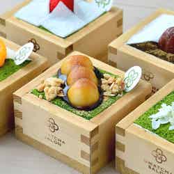 生ティラミス/画像提供:LIFEstyle