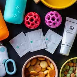 グランフォレスタヴィラ日光/提供画像