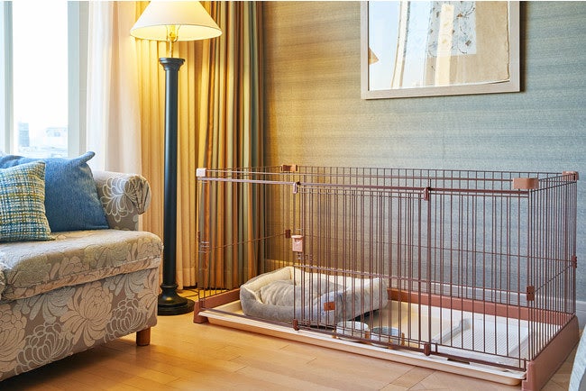 ドッグフレンドリールーム／画像提供：ベストホスピタリティーネットワーク