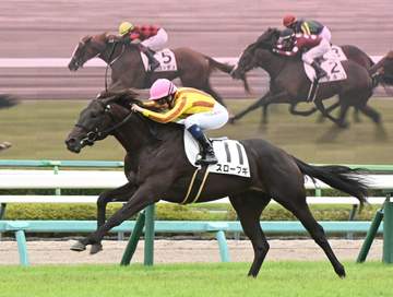 【新馬戦】スローブギ 決め脚発揮！デビュー星 短期免許で初勝利のミシェル「ゲートが良かった。最後は怖がるところも」