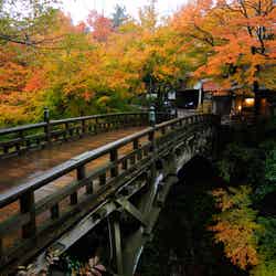 北陸随一の湯処「山中温泉」で紅葉と調和する景観自慢の橋めぐり/こおろぎ橋/画像提供:(一社)山中温泉観光協会・旅館協同組合