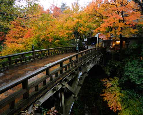 北陸随一の湯処「山中温泉」で紅葉と調和する景観自慢の橋めぐり