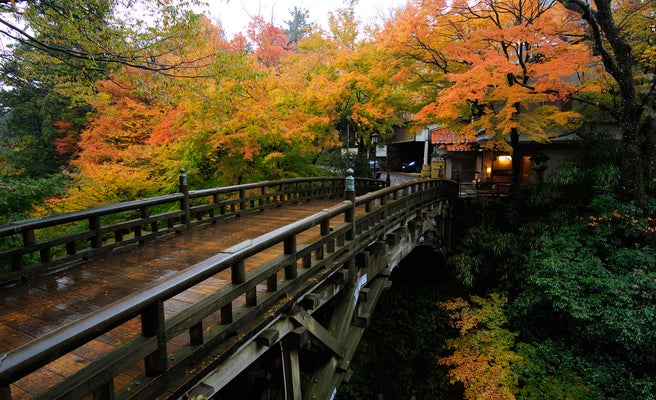 北陸随一の湯処 山中温泉 で紅葉と調和する景観自慢の橋めぐり 女子旅プレス