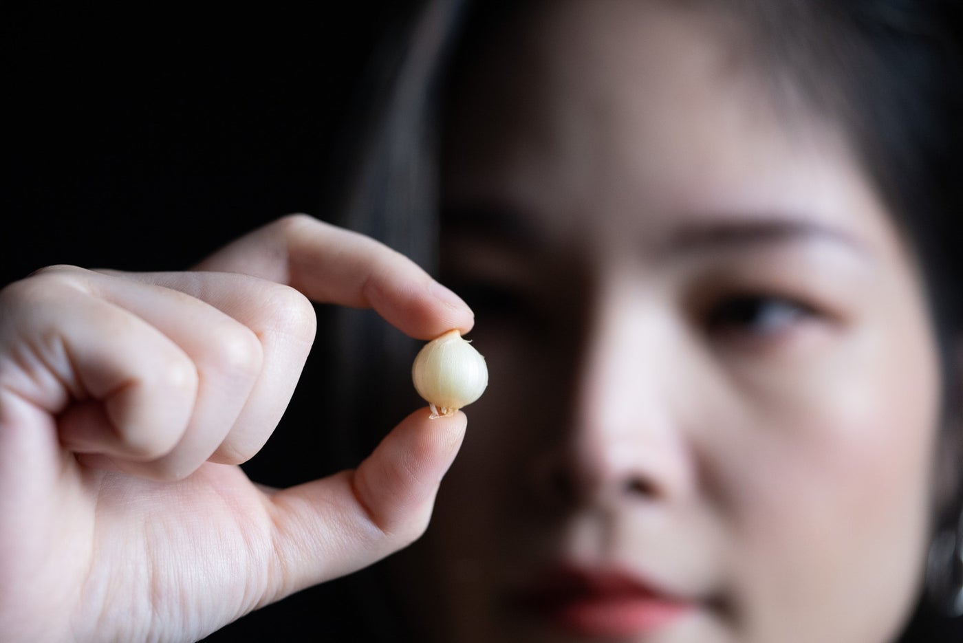 サマー・レ／提供画像