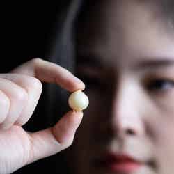 サマー・レ/提供画像