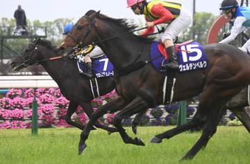 【天皇賞・春】1番人気クロワデュノールが鼻差の大接戦を制してG1.4勝目
