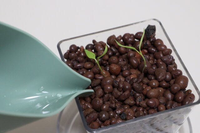液体肥料　使用例