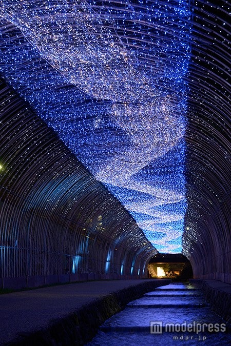 堀川会場／光の天の川／写真提供：京の七夕実行委員会