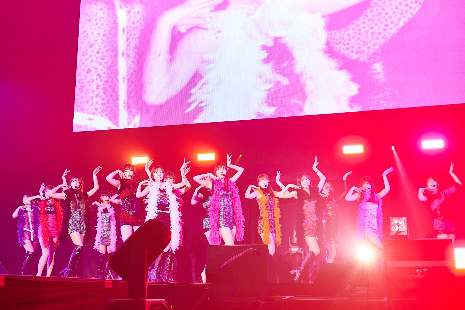 フジコーズ「AGESTOCK2024」撮影：大橋祐希