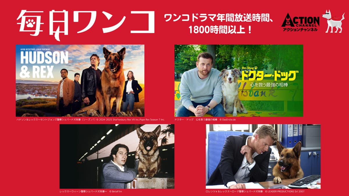 アクションチャンネル2026年