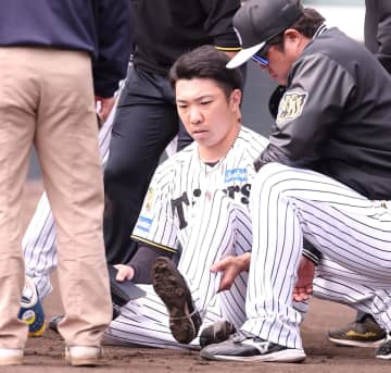 阪神 石井大智はアキレス腱損傷 球団発表 侍ジャパンには辞退申し入れ WBC出場の夢叶わず 11日の紅白戦で負傷