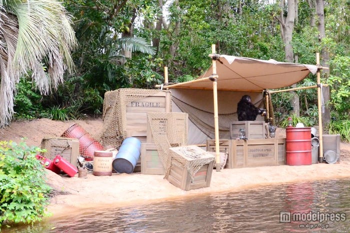 銃を手にしたゴリラに注意/「ジャングルクルーズ:ワイルドライフ・エクスペディション」