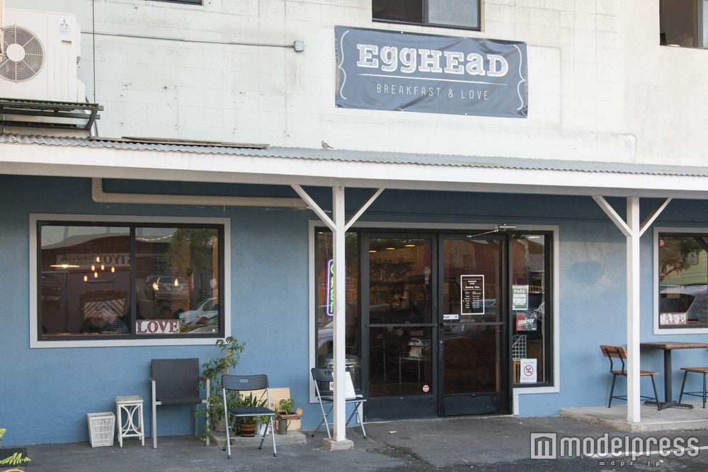 話題のエッグヘッドカフェなど／画像提供：ヌーボーコミュニケーションズ