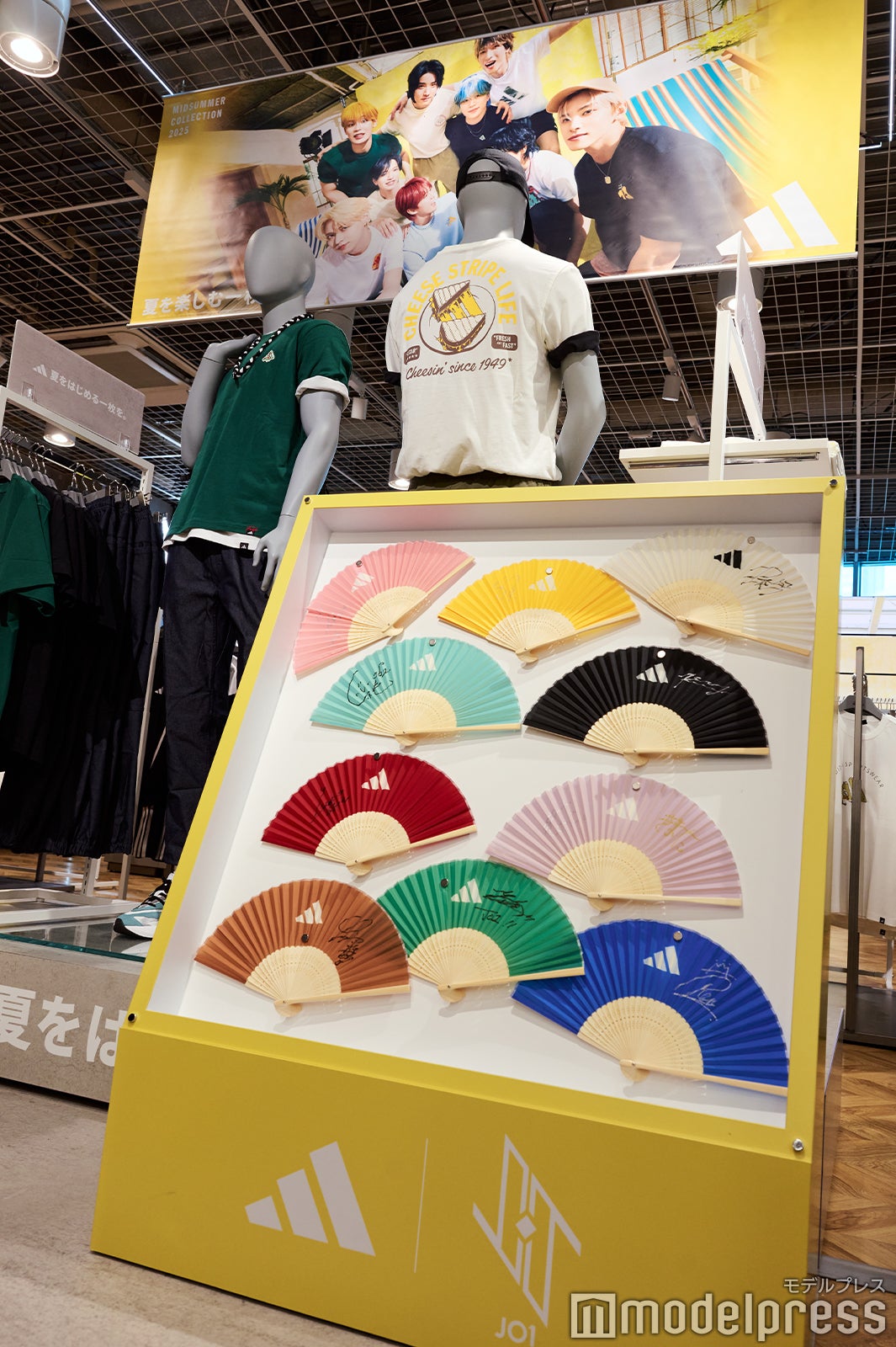 オリジナル扇子（C）モデルプレス