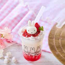 ミッフィーのフラワーブルームガーデン/提供画像