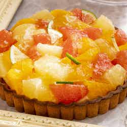 Splash Tart Gallery/画像提供:ヒルトン小田原リゾート&スパ