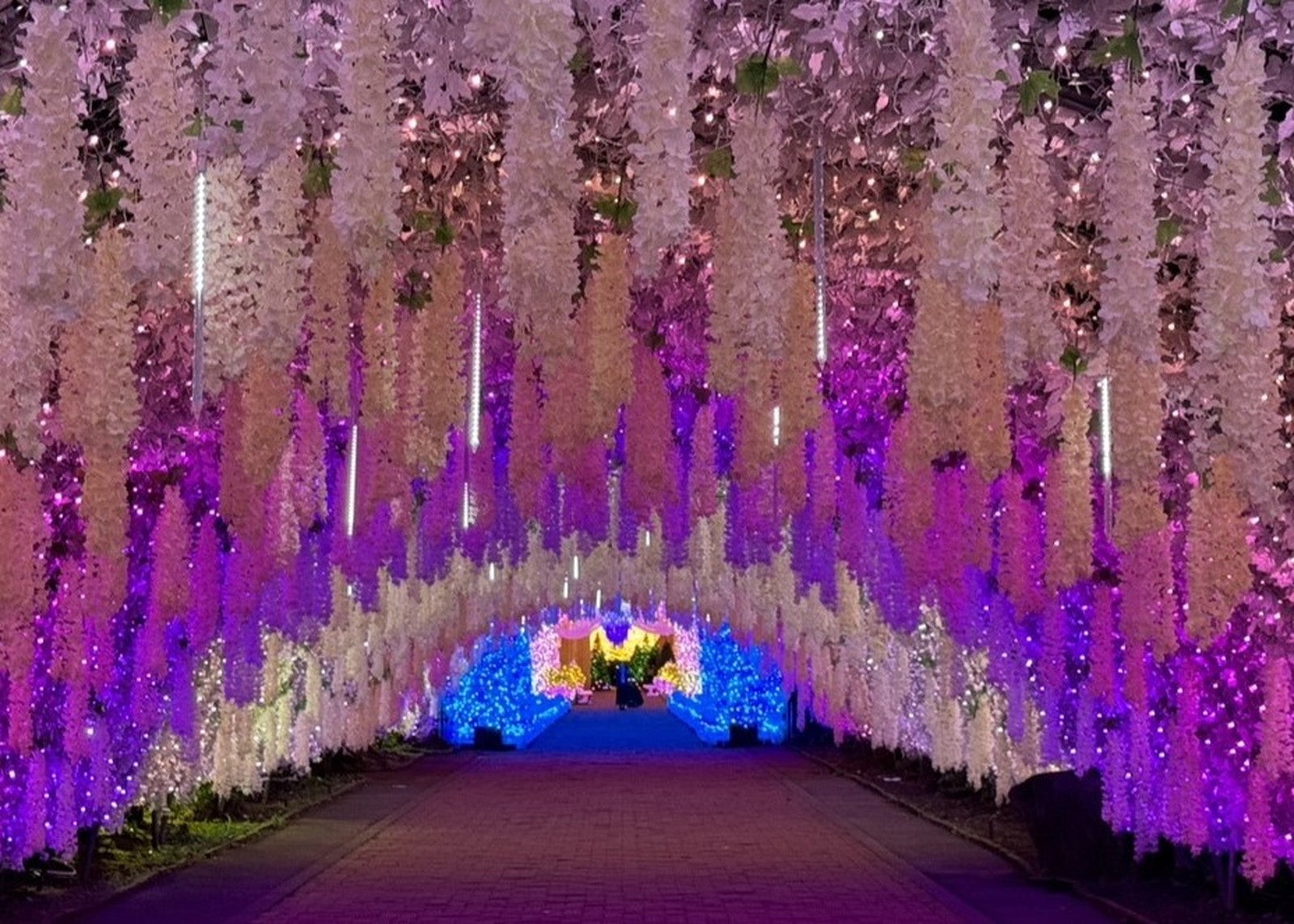 ひかりのすみか（提供写真）