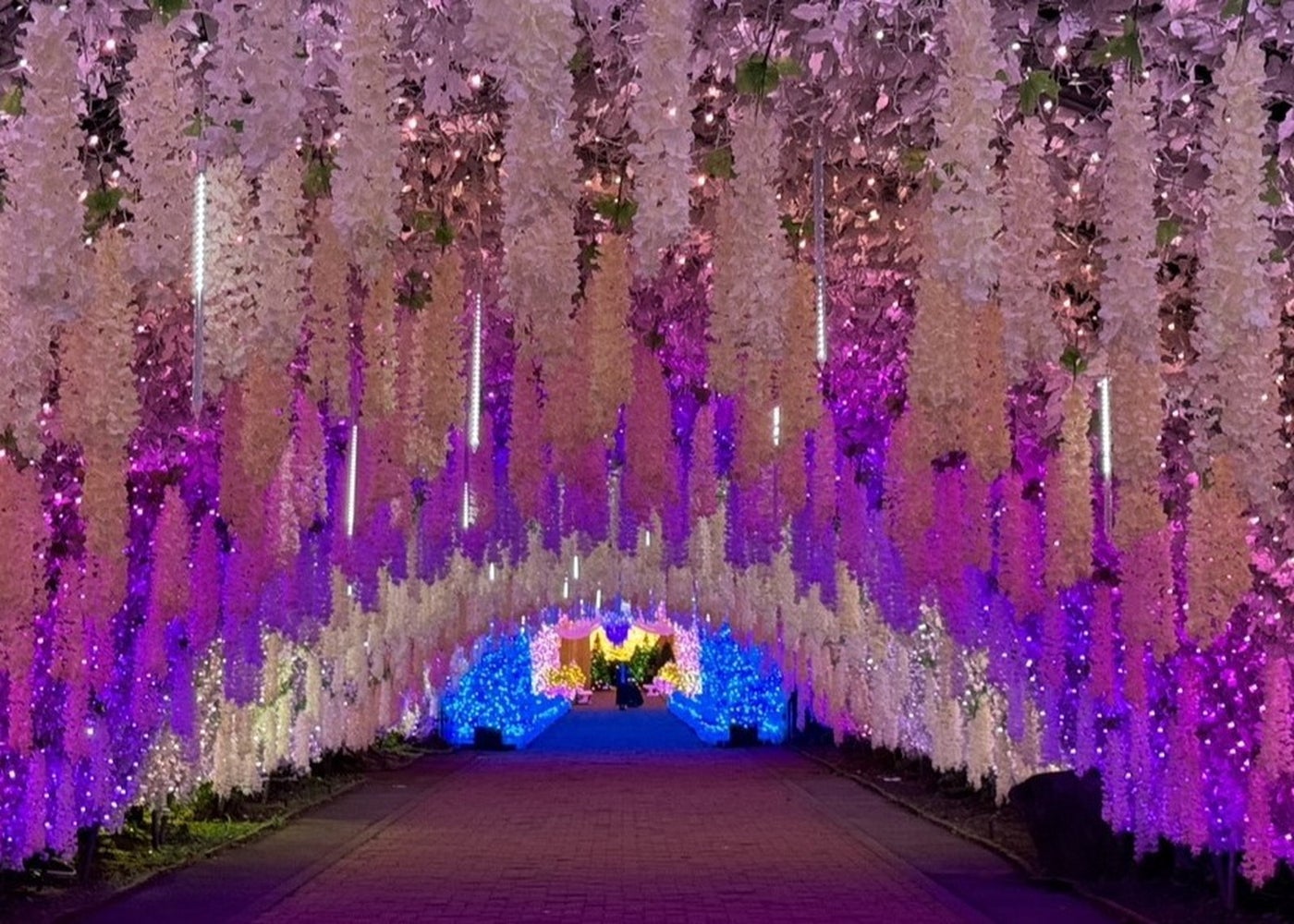 ひかりのすみか（提供写真）