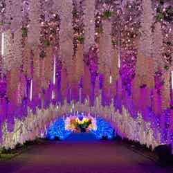 ひかりのすみか(提供写真)