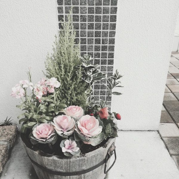 今年から 冬の寄せ植え 始めてみない 初心者さんにもおすすめのおしゃれなアイデア モデルプレス