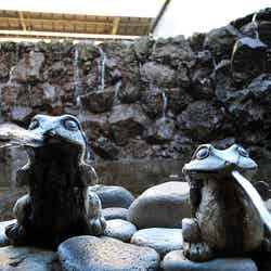 ゆったりくつろげる温泉/photo by PYONKO