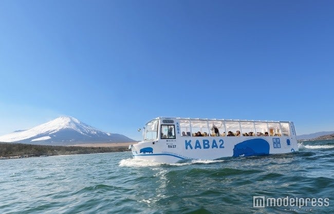 山梨県・山中湖で運行している水陸両用バス「YAMANAKAKO NO KABA」／画像提供：富士急行