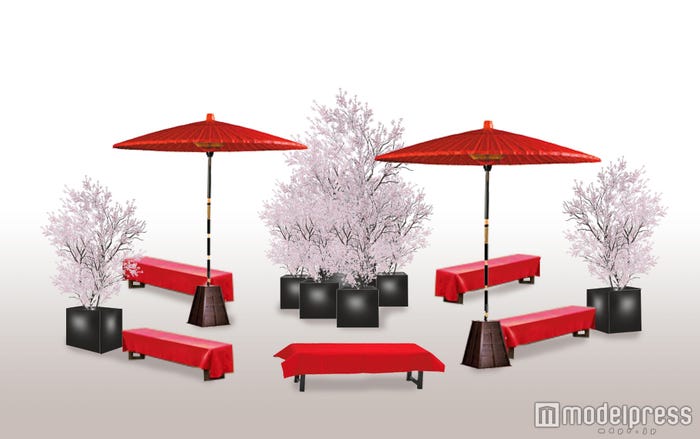 「おもはらの森」桜 昼イメージ