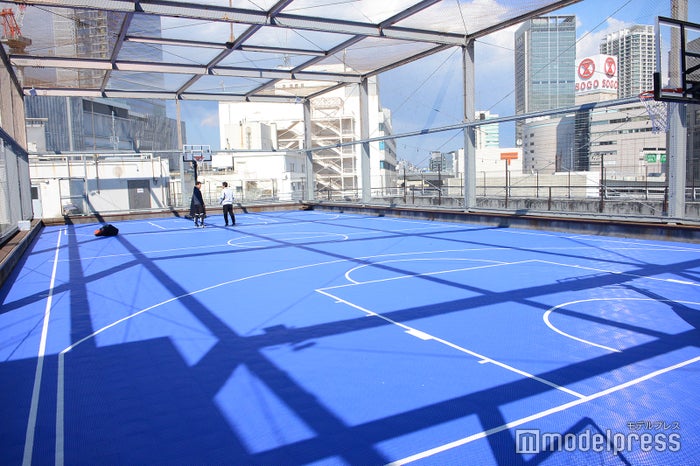 マルチスポーツコート（C）ビューティーガール