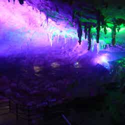 異空間が広がる「傘づくし」/提供画像