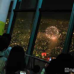東京スカイツリー展望台から見る隅田川花火大会（昨年の様子）（C）TOKYO-SKYTREE