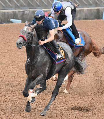 【ラジオNIKKEI賞】リッツパーティー 鋭く反応 横山武20年以来の夏福島参戦「スタートと枠がかみ合えばチャンスある」