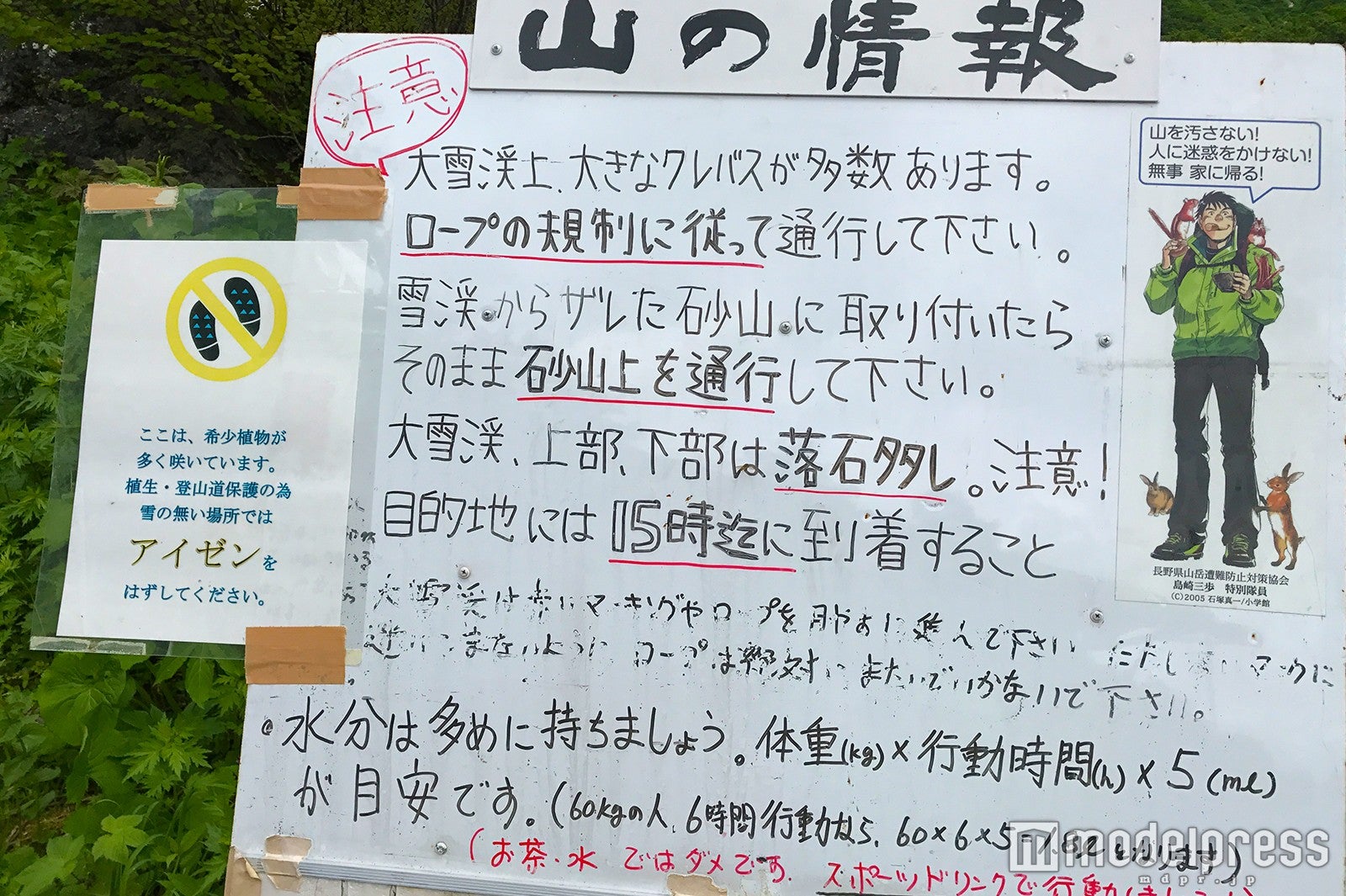 （C）モデルプレス