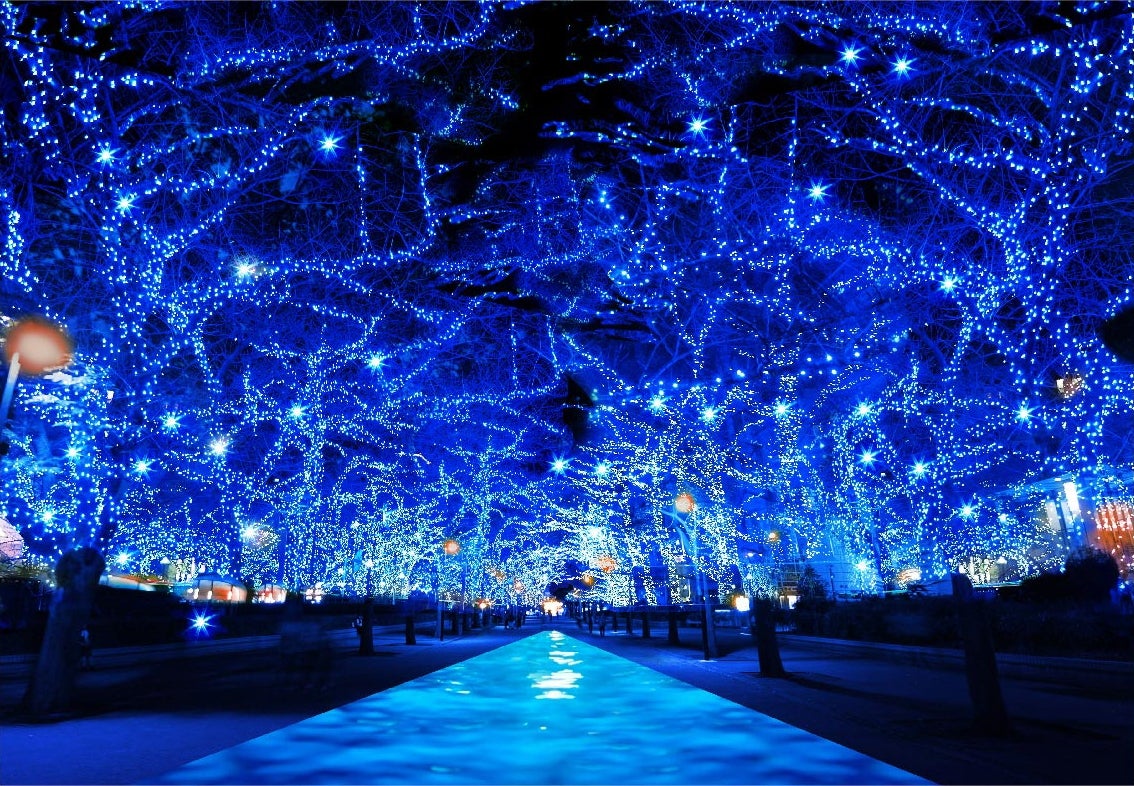 人気イルミネーション「青の洞窟」が2年ぶりに渋谷で復活／画像提供：「青の洞窟 SHIBUYA」実行委員会