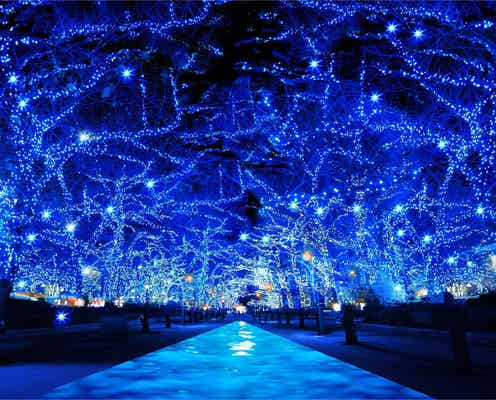 人気イルミネーション「青の洞窟」が2年ぶりに渋谷で復活