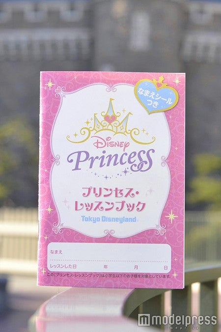 ディズニーランド 憧れのプリンセスと夢の舞踏会 モデルプレス