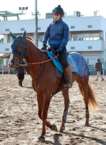 ミッキーファイトがドバイWC見送り 次走候補は川崎記念、かしわ記念の2択
