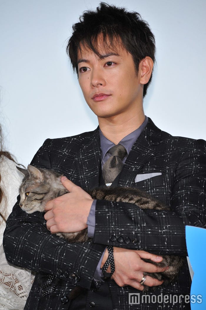 佐藤健(C)モデルプレス