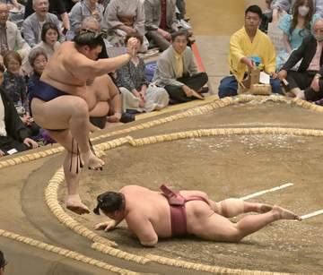 横綱大の里ひやりも白星発進 土俵際間一髪のはたき込みで大栄翔下す 2場所連続V狙う安青錦、綱とり霧島ら1横綱3大関安泰 大関狙う関脇熱海富士も白星発進