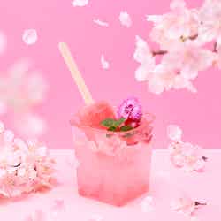 桜氷(さくらぽっぷ)-HOROYOI-(1,200円)(C)TOKYO-SKYTREE