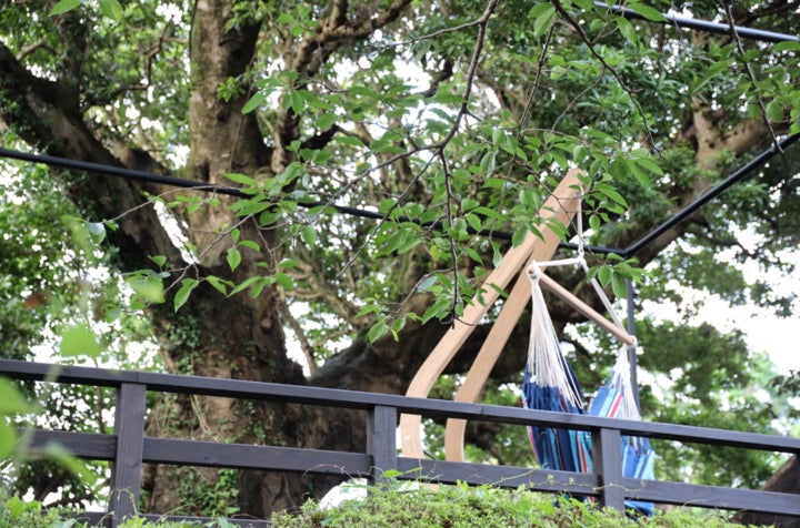 やんもの木を囲むやんもテラス／画像提供：サンザ