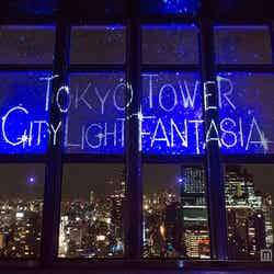 「TOKYO TOWER CITY LIGHT FANTASIA 2015ー2016」／画像提供：東京タワー