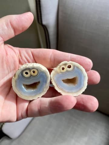 クッキーモンスターそっくりの石が発見 100万円で譲って 購入希望相次ぐ モデルプレス