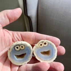 クッキーモンスターそっくりの石が発見 100万円で譲って 購入希望相次ぐ モデルプレス クッキーモンスターそっくりの石が発見 100万円で譲って 購入希望相次ぐ モデルプレス