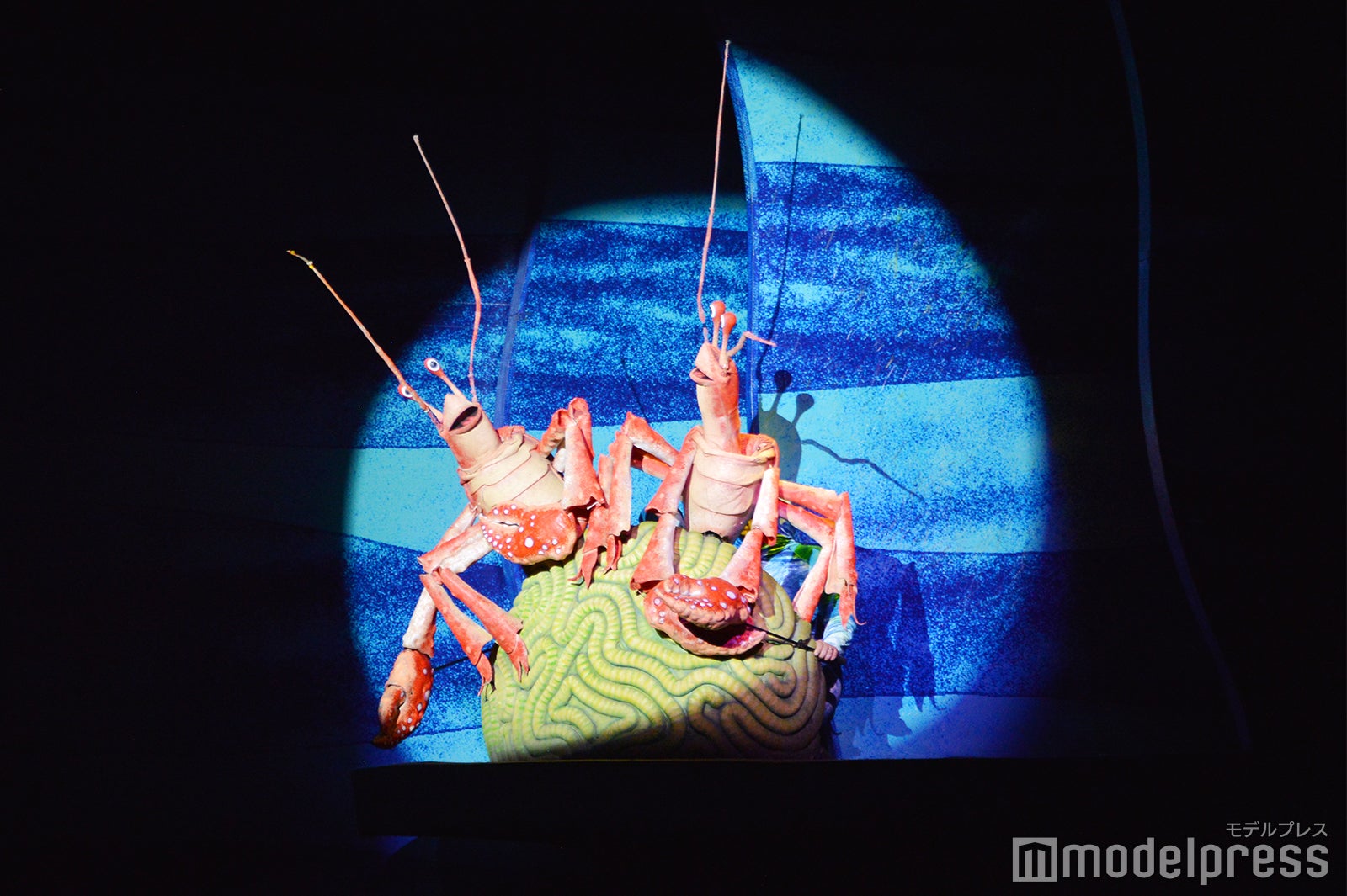 「ファインディング・ニモ：ザ・ミュージカル」（C）モデルプレス（C）Disney