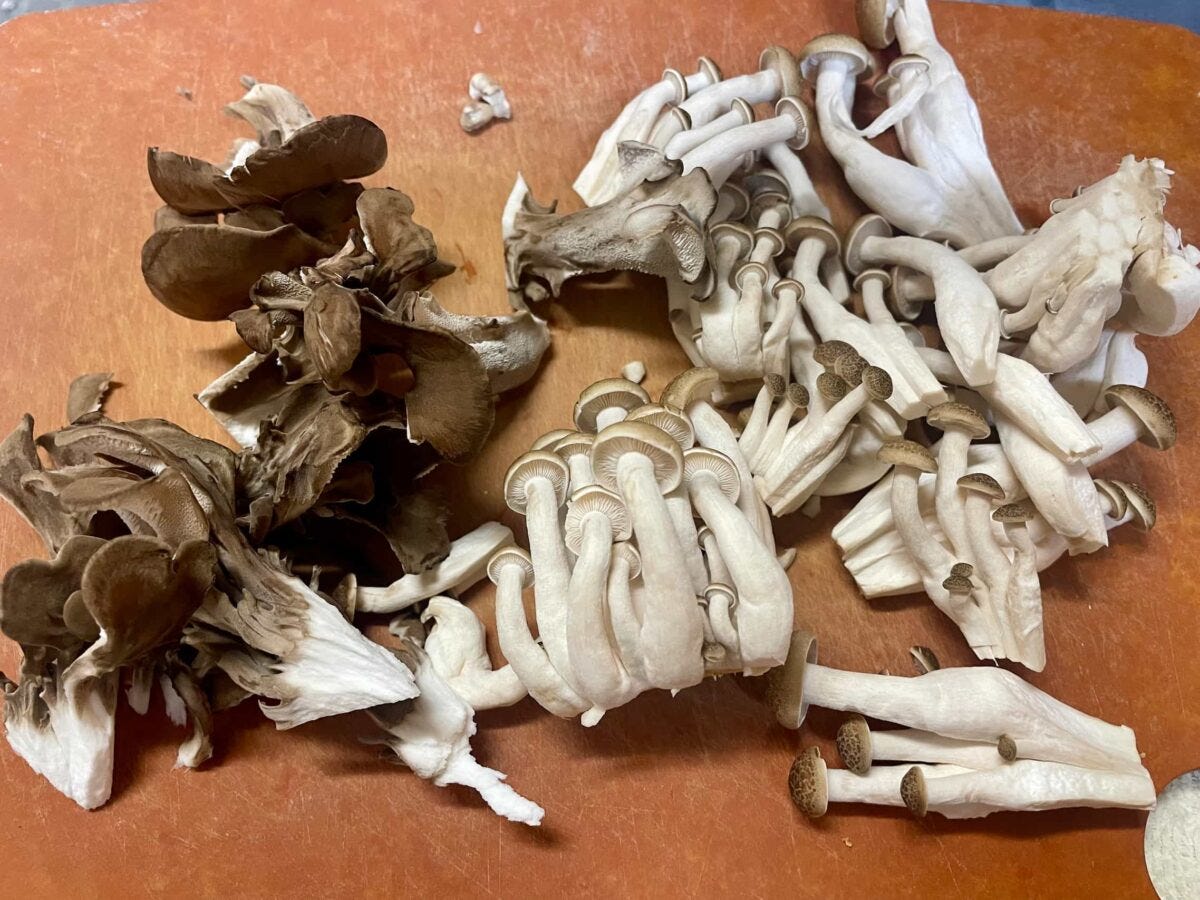 わかめときのこのZENパスタ風