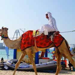 ジェービーアール・ビーチ/画像提供:ドバイ政府観光・商務局