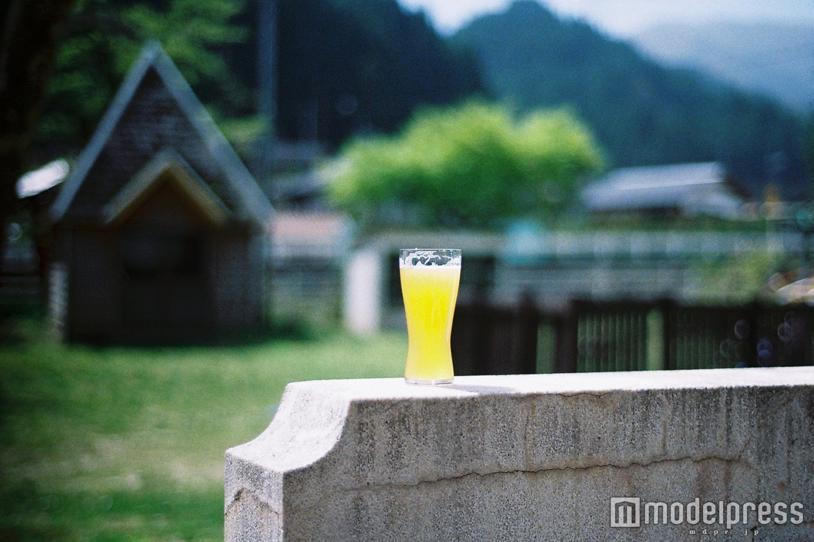 タルマーリーの天然酵母ビールスタンド／画像提供：メディアサーフコミュニケーションズ株式会社